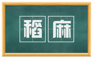 稻麻
