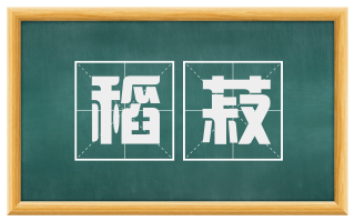 稻菽