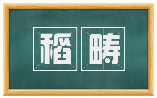稻畴
