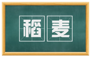 稻麦