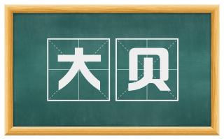 大贝