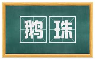 鹅珠
