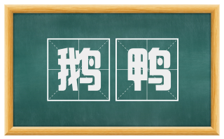 鹅鸭
