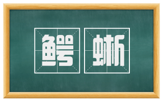 鳄蜥