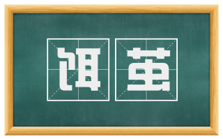 饵茧