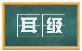 耳级