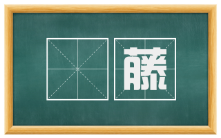 毦藤