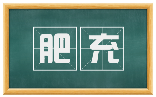 肥充