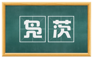 凫茨