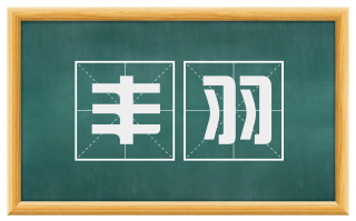 丰羽