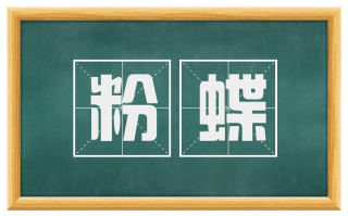 粉蝶