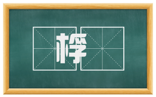 桴栰