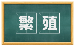 繁殖