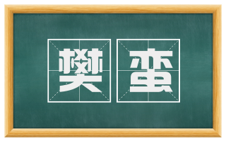 樊蛮