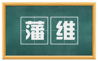 藩维