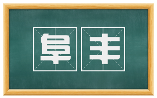 阜丰