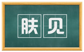 肤见