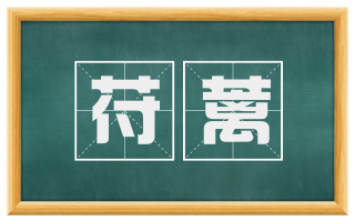 苻蓠