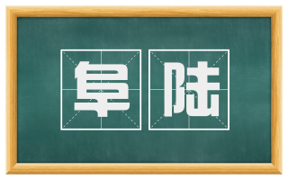 阜陆