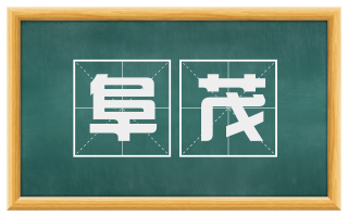 阜茂