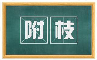 附枝