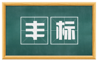 丰标