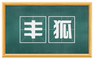 丰狐