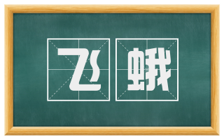 飞蛾