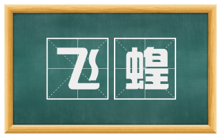飞蝗