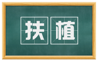 扶植