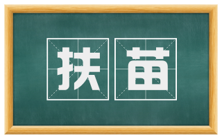 扶苗