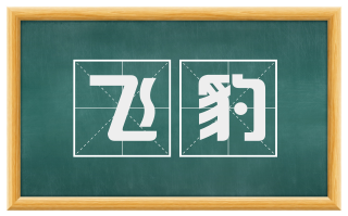 飞豹