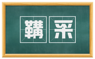 鞲采