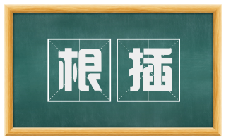 根插