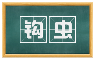 钩虫