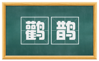 鹳鹊
