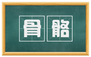 骨骼