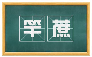 竿蔗