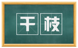干枝