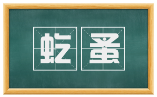 虼蚤
