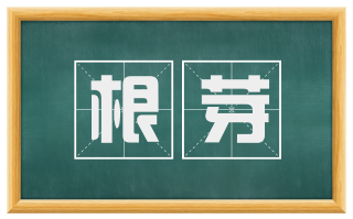 根芽