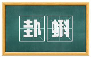 卦蝌