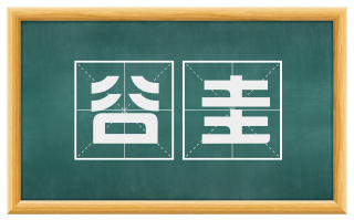 谷圭