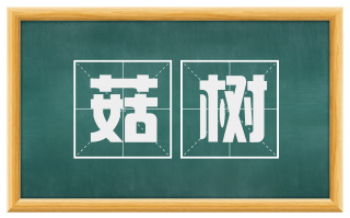 菇树