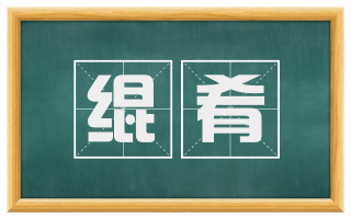 绲肴