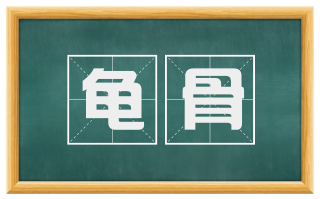 龟骨
