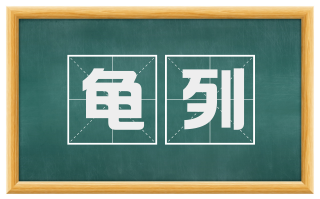 龟列