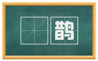 鳱鹊
