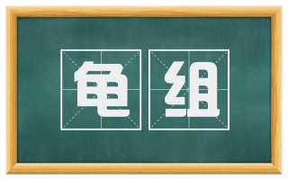 龟组