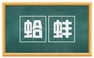 蛤蚌
